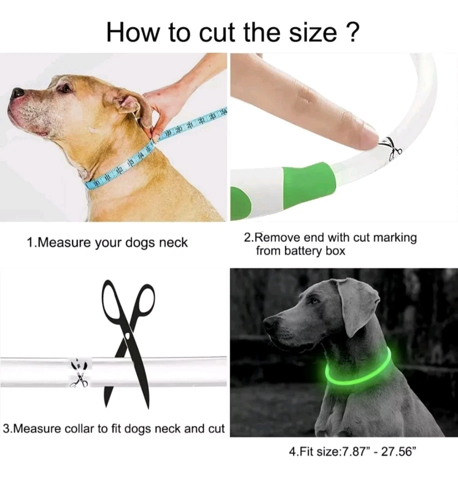 LED Dog Collar USB Rechargeable Light up Dog Collar Glow in the Dark COLOR ORANG - Image 3 of 4