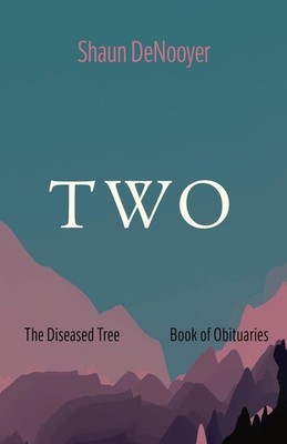 TWO | Shaun Denooyer | Taschenbuch | Englisch | 2024 | Resource Publications