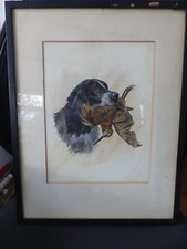 Antique  Original Watercolour  - Pointer  Dog And A Snipe By David Palmer 1912