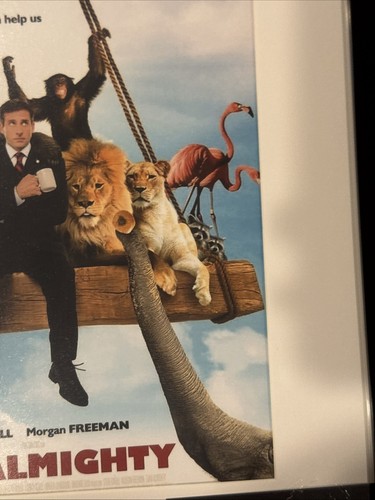 Steve Carell Signed Autographed 8x10 Evan Almighty COA. Framed. - Picture 4 of 8