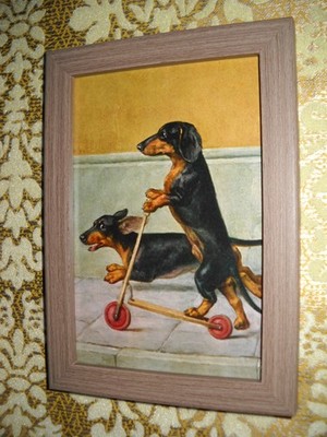 DACHSHUND DOGS SCOOT 4  X 6 brown framed animal picture Victorian style print
