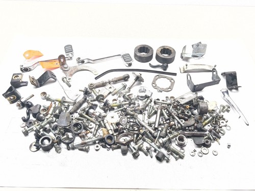 04-06 Harley Road King Custom FLHRS Bolt Nut Screw Washer Axle Bracket Kit Set