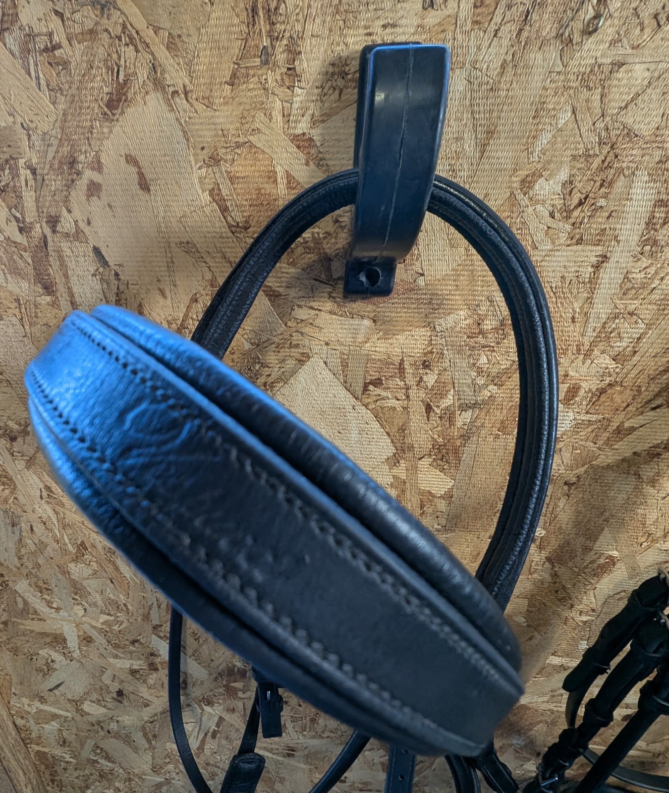 VESPUCCI Classic Padded Dressage Bridle $318