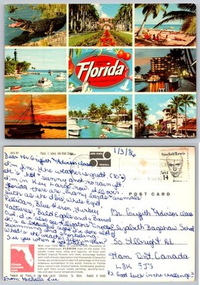 Vintage Florida Multi-View Postcard - Alligator, Beaches, Key Largo, John Hinde