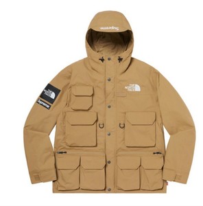 the north face gold