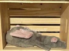 Jellycat BNWT Malachy Dragon Aithentic Large Size Fantasy Dragon Plush 