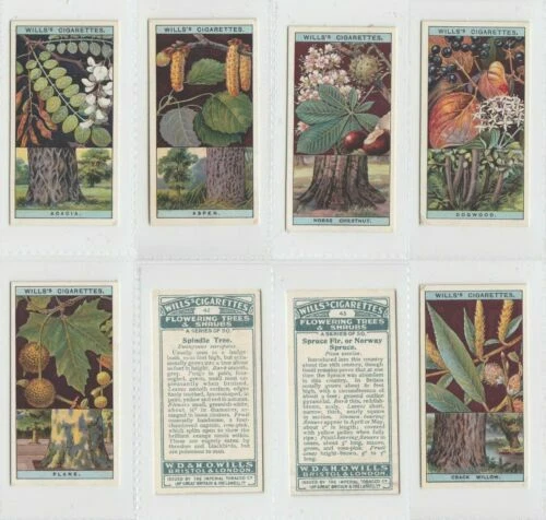 Individual/Type Cards Flowers/Garden Collectable Will's Cigarette Cards