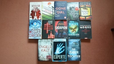 Super THRILLER-Paket:Poznanski-Norman-M.A. Smith-Deaver-Flynn-Bjork u.a.