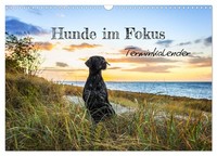 "Calendar 2027 · US Version · Focus On Dogs (Wall Calendar 2027 17\" × 12\" Landsca"