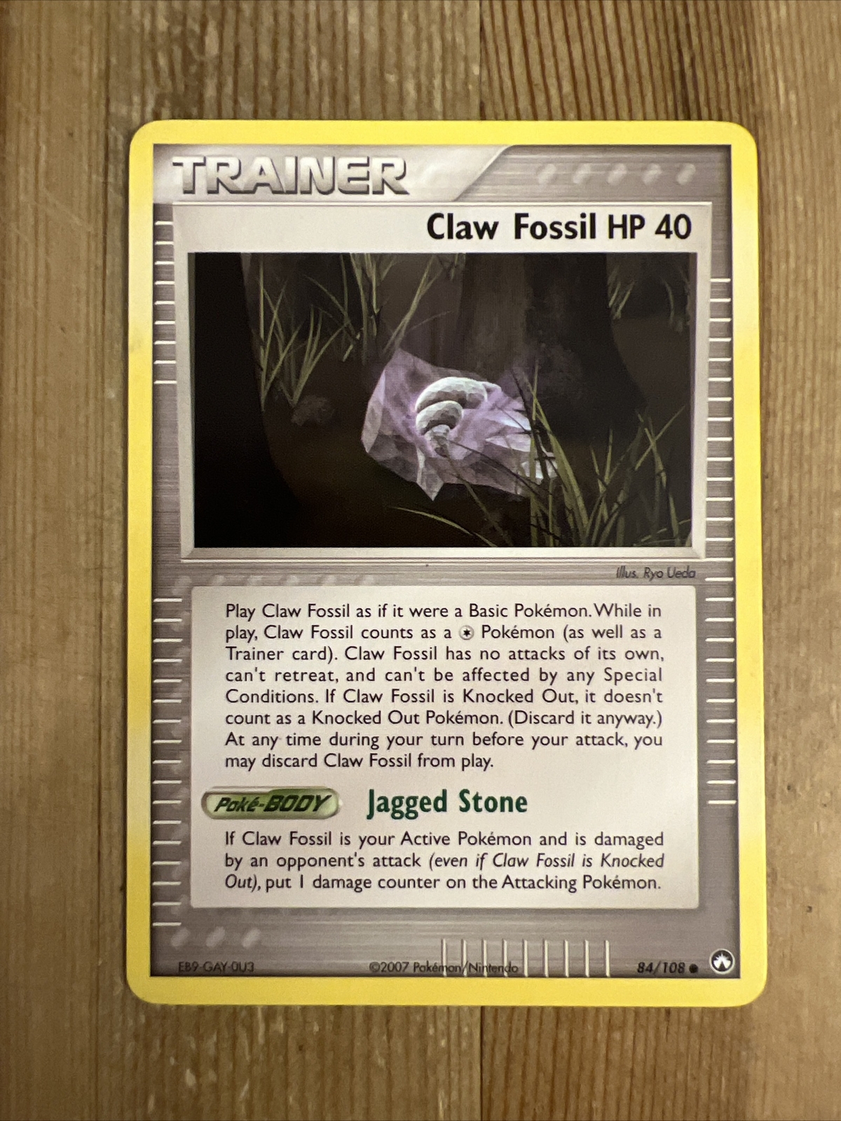 Claw Fossil