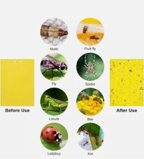 Yellow Sticky Fly Trap Insect Catcher Traps Paper Killer Glue Fruit Flies A4 siz