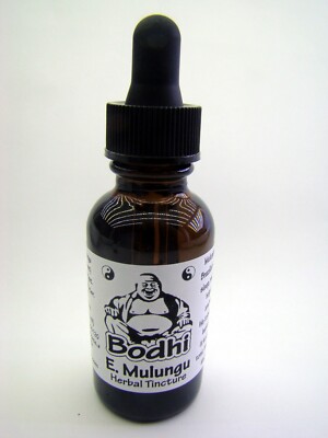 Mulungu Herbal Tincture  - Made with Brazilian Mulungu Bark