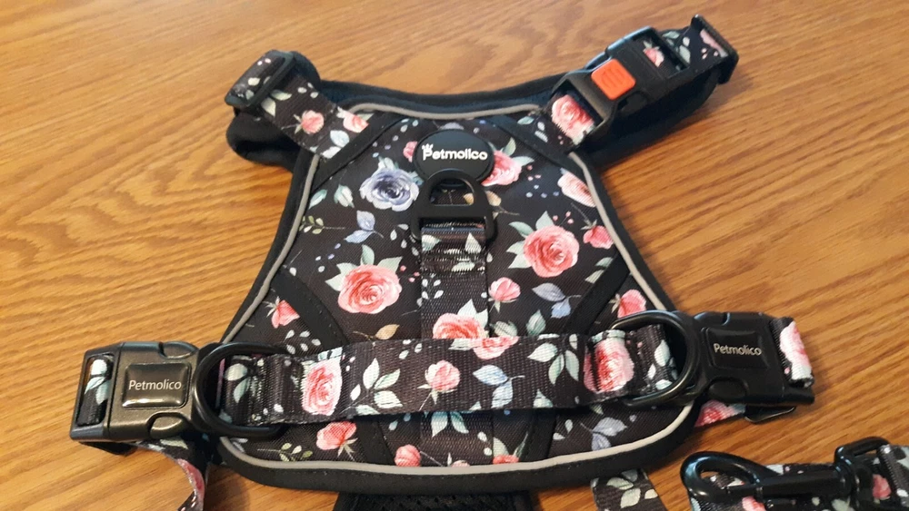 Dog Harness Size Large with walking Leash Black with Roses new