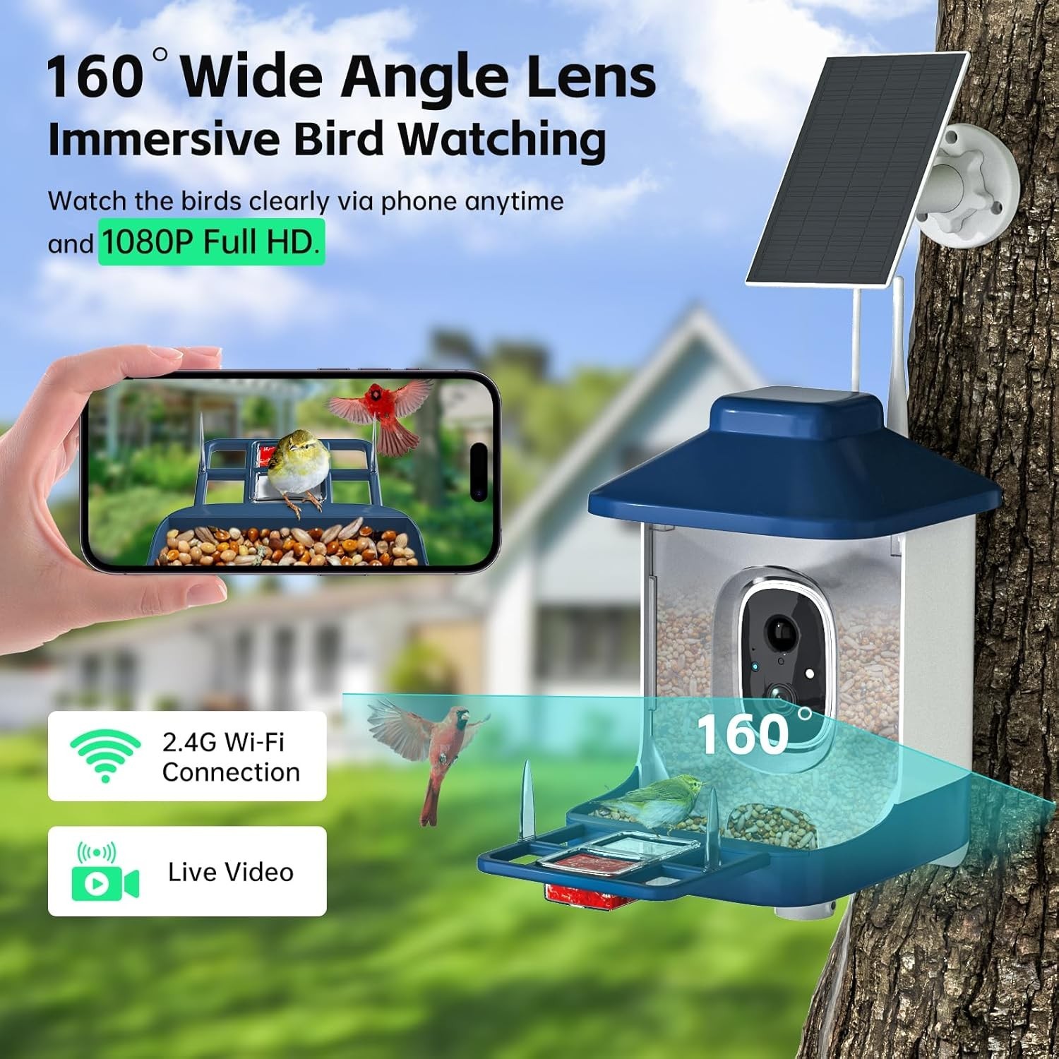 Bird Feeder with Camera, AI Bird Identification, Full HD Live Video, Solar Power