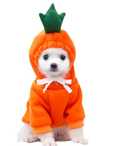 Pet Clothes Dog Hoodies Warm Sweatshirt Coat Puppy Autumn Winter Apparel Jump...