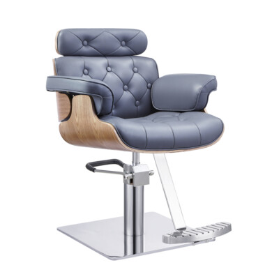 Salon Styling Chair Beauty Salon Hydraulic Chair - D'eames in Grey