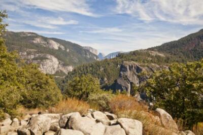 Wandbild: Half Dome in the distance in Yosemite National Park in [...]