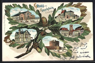 Lithograph Wasselnheim / Alsace, Volla Dr. Hoffmann, slaughterhouse, châteauplat 