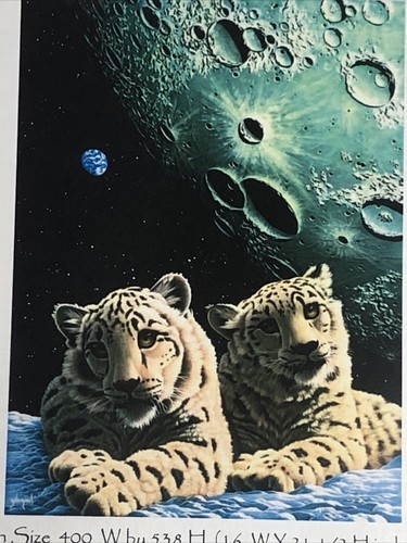Lair of The Snow Leopard Cross Stitch Pattern 2006 Heaven and Earth Designs NOS - Picture 2 of 7