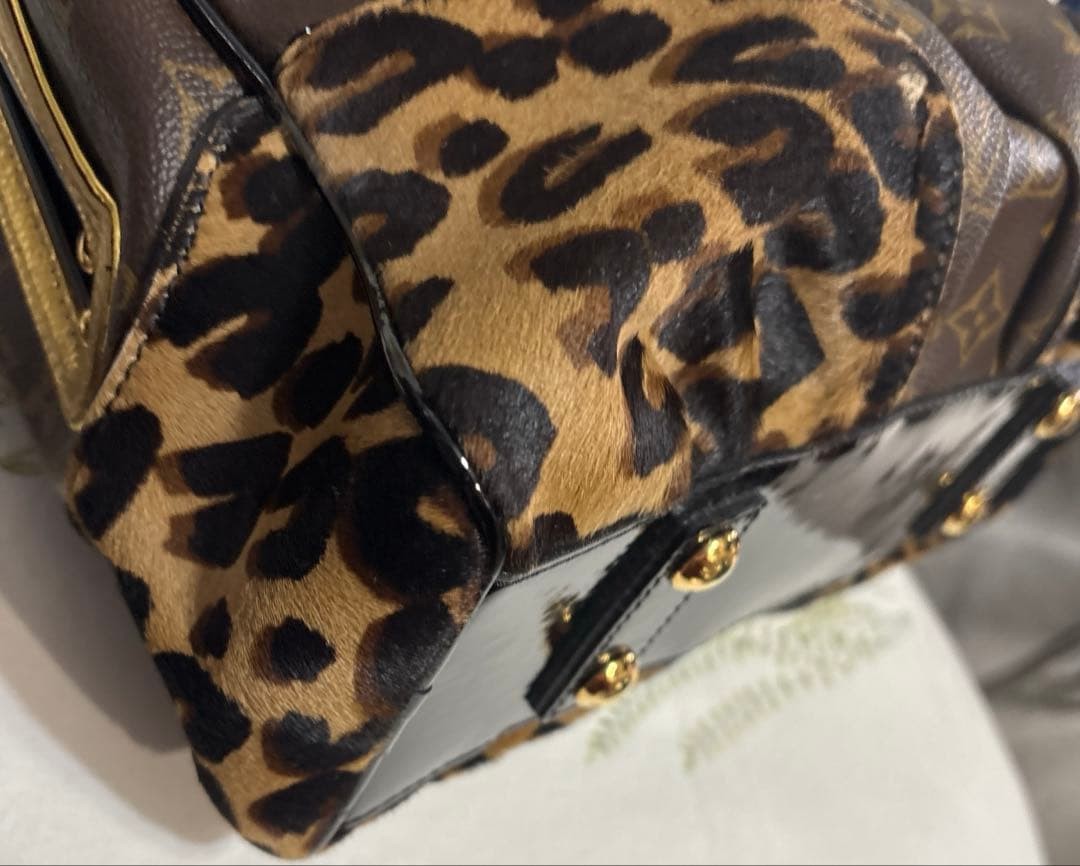 Louis Vuitton Monogram Leopard Adele 2way Bag M95… - image 8