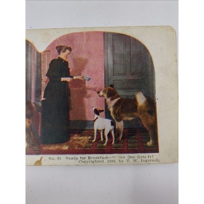 1898 Stereoview Card No. 65 Ready for Breakfast T. W. Ingersoll