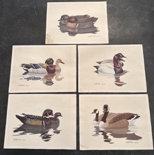 VINTAGE LOT OF 5 RICHARD SLOAN DUCK ART PRINTS 1980 & 1981