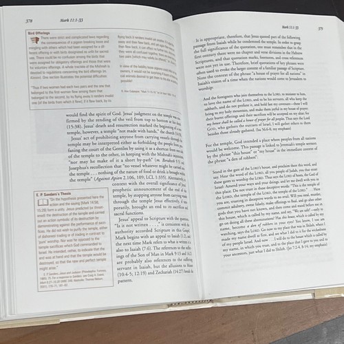 THE GOSPEL OF MARK, R. Allen Culpepper, Smyth & Helwys Commentary, CD Included - Imagen 12 de 15
