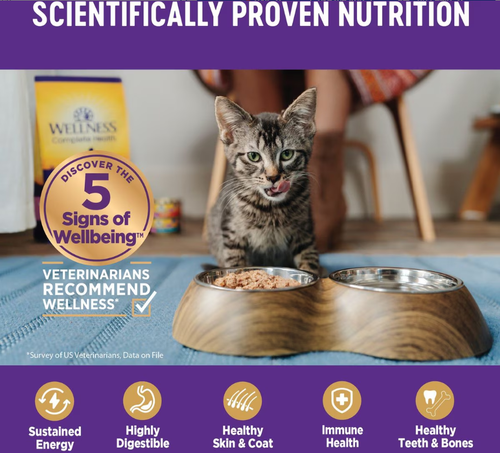 Wellness Complete Health Adult Beef & Chicken Grain-Free Wet Cat Food,12x12.5oz - Picture 4 of 8