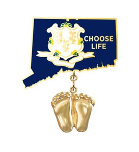 Authentic Precious Feet, 14K Gold Plated, Connecticut Flag Jewelry, Lapel Pin