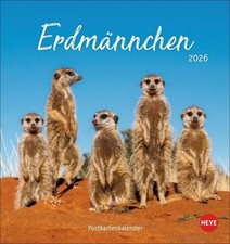 Erdmännchen Postkartenkalender 2026 Jeden Monat eine süße Postkarte. Fotokale...