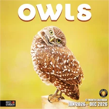 Owls 2026 Wall Calendar 12 Month | 12" x 24" Open | Thick & Sturdy Paper | Gifta