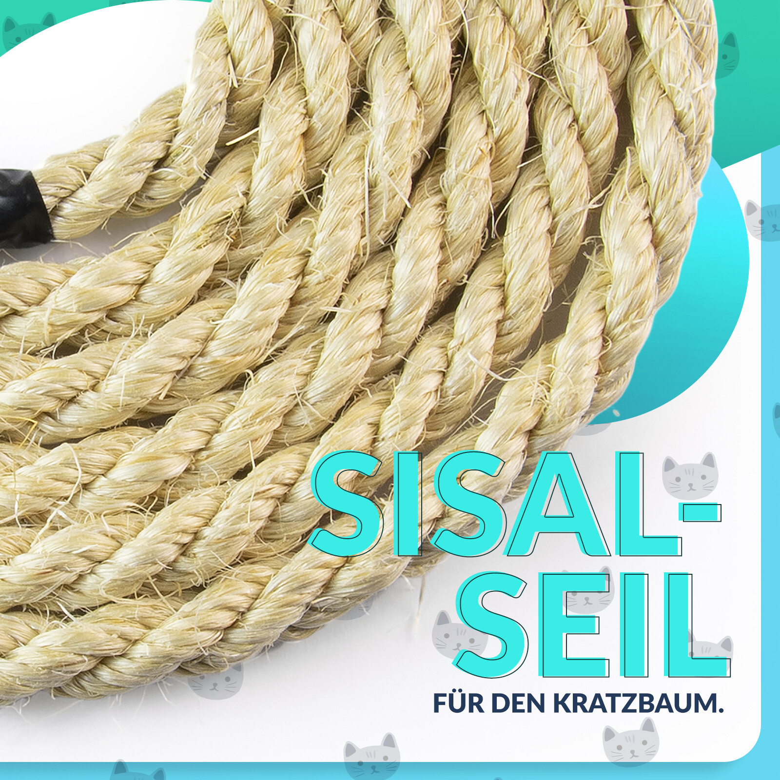 Bild 1 von 11