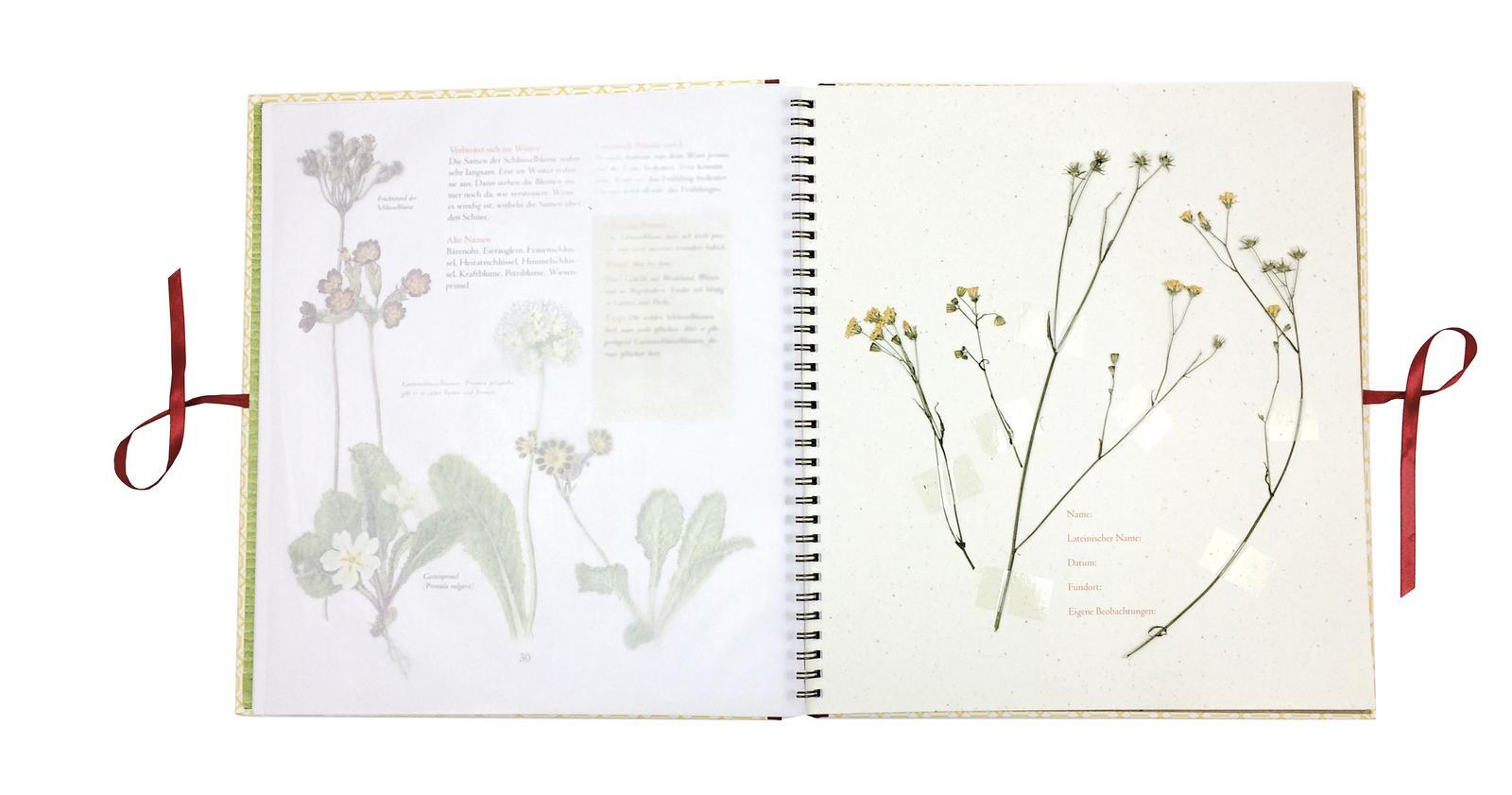 Thumbnail - Auf Der Hummelwiese - Das Große Herbarium Stefan Casta