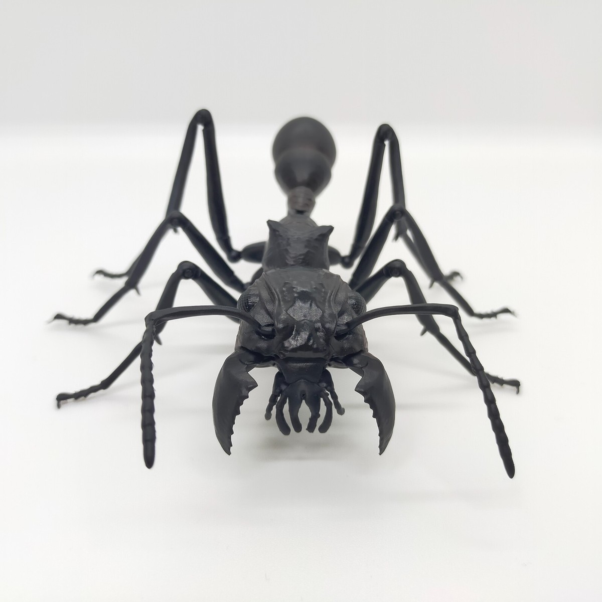 Bandai Gashapon Ant Figure 4.7 inch Big Realistic Paraponera