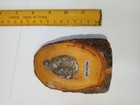 Picture 5 of 5