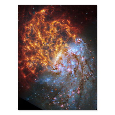 NASA Hubble James Webb Teleskop Spiralgalaxie NGC 1087 Kunst Leinwandbild 18X24