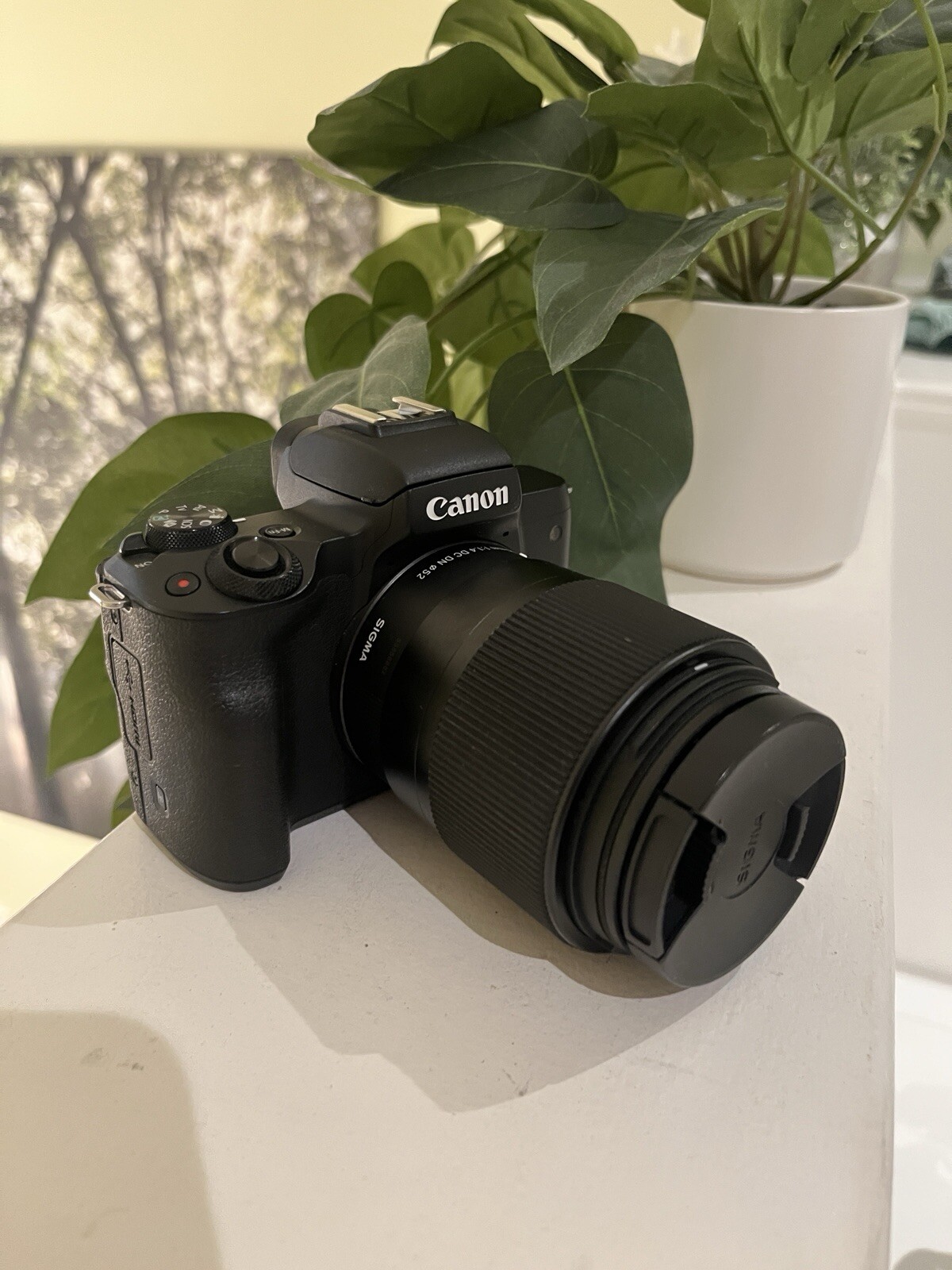 Canon EOS M50 Mirrorless + Sigma EF-M 30mm f/1.8 DC DN (Camera body + lens)