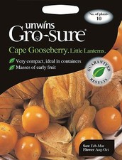 Unwins Pictorial Packet - Cape Gooseberry Little Lanterns - 10