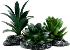 Reptile Artificial Plants Succulent Terrarium Decor Desert Rainforest Plant Liza