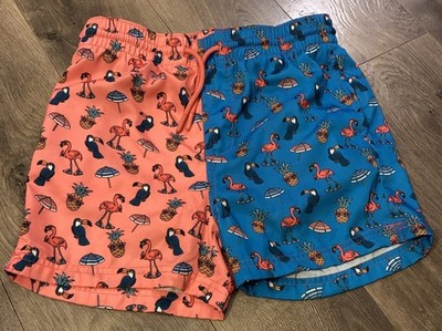 Aeroline Swimsuit Boy's Pink/blue Pineapple Flamingo Toucan Sunglasses  L 14/16
