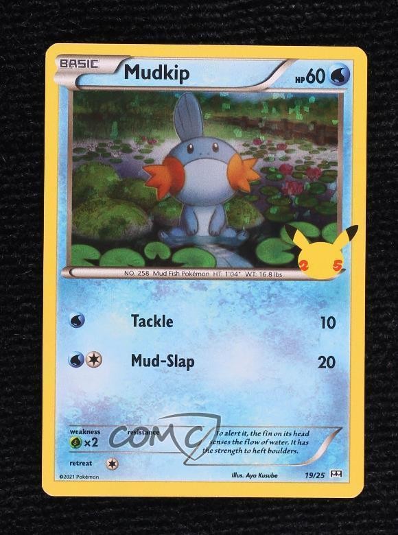 Mudkip Confetti Holo Pokémon Sword & Shield McDonald's Collection #19