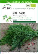 SAFLAX - BIO - Aneth - 700 graines - Avec substrat - Anethum