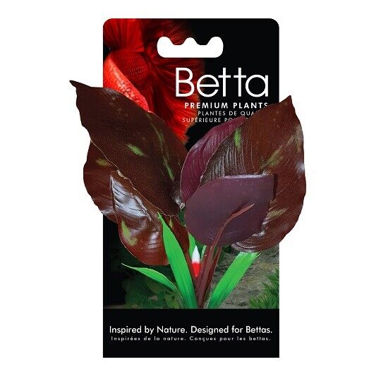 Fluval Max 40% OFF Betta Red Lizard Plant in 5 ☆ popular 6 15 cm -