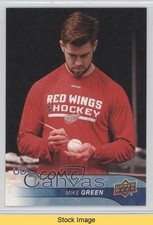 2016-17 Upper Deck UD Canvas Mike Green #C34 READ 0qr0