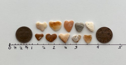 10 Fragmentos Naturales ❤️En Forma de Corazón Conchas de Mar Amor Guijarro Artesanía #S1B - Imagen 11 de 17