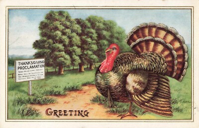 Postcard Antique Thanksgiving Proclamation Greetings Turkey