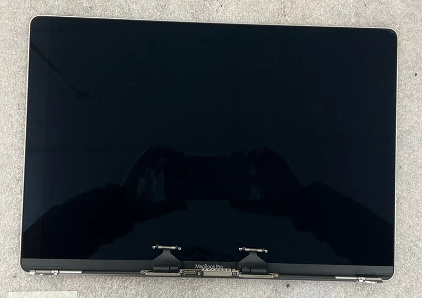 GENUINE 2019 MacBook Pro 16 A2124 emc3347 screen grade A tested | eBay 