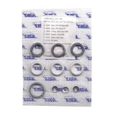 CAT PUMP 31983 HIGH TEMPERATURE SEAL KIT fits 3CP Cat Pumps