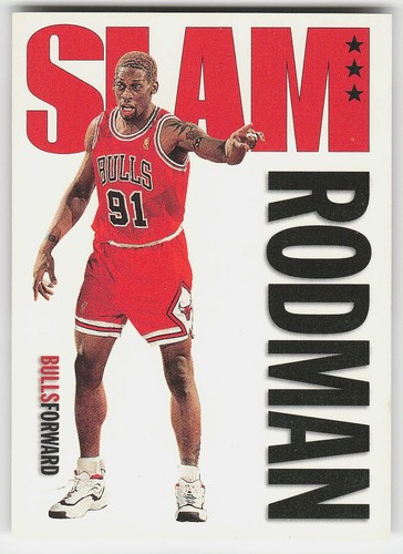 Dennis Rodman #326 1996 Hoops card