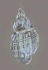 Waterford Vintage Crystal Conch Shell Circa 1950-1955